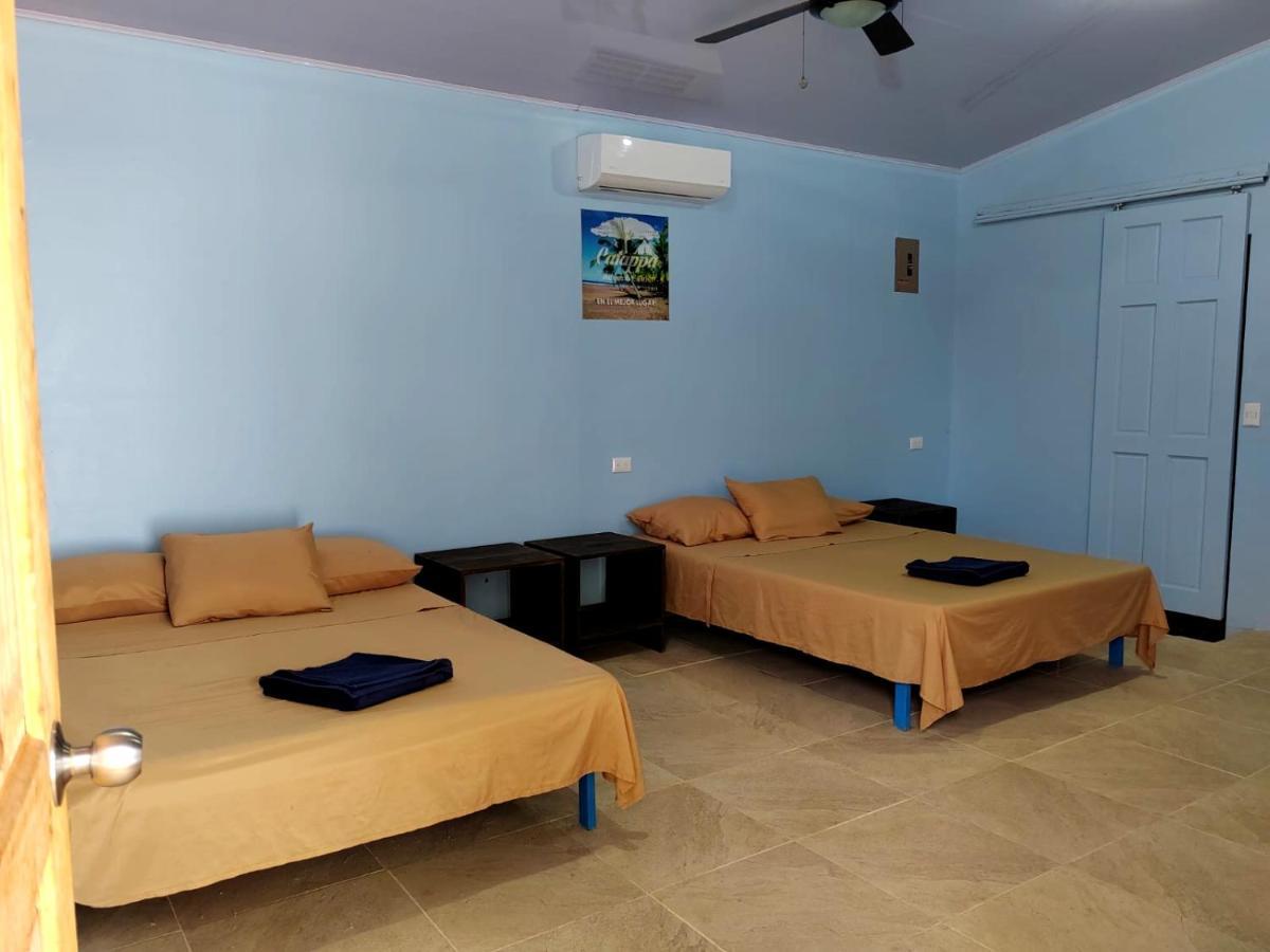Hotel Catappa Jaco Exterior photo